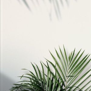 Meet your Posher, Abbie